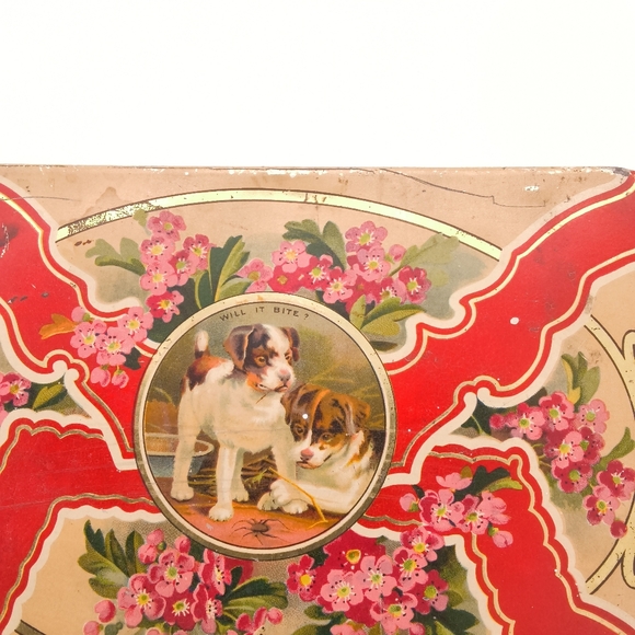 Antique 1910s "Will It Bite?" Puppy Dog Litho Tin | French Modèle Déposé - Picture 3 of 8